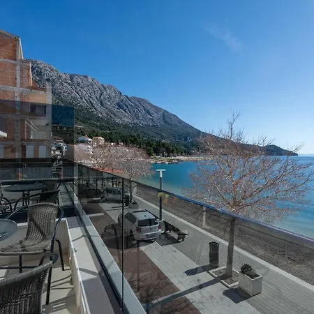 Wind Rose Maestral-beachfront *
